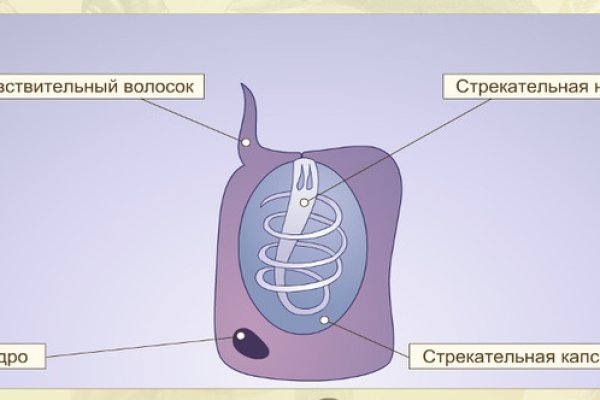 Кракен рабочая ссылка