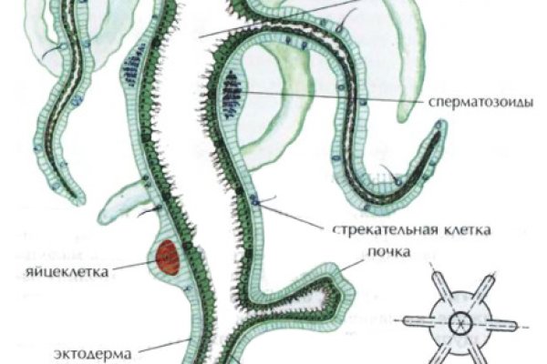 2krn at официальный