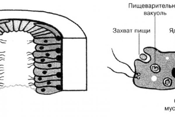 Ссылки на сайты даркнета