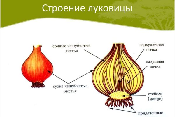 Кракен современный маркет